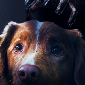 Good Boy Movie Review: A Haunting Story Told Through a Dog’s Eyes
