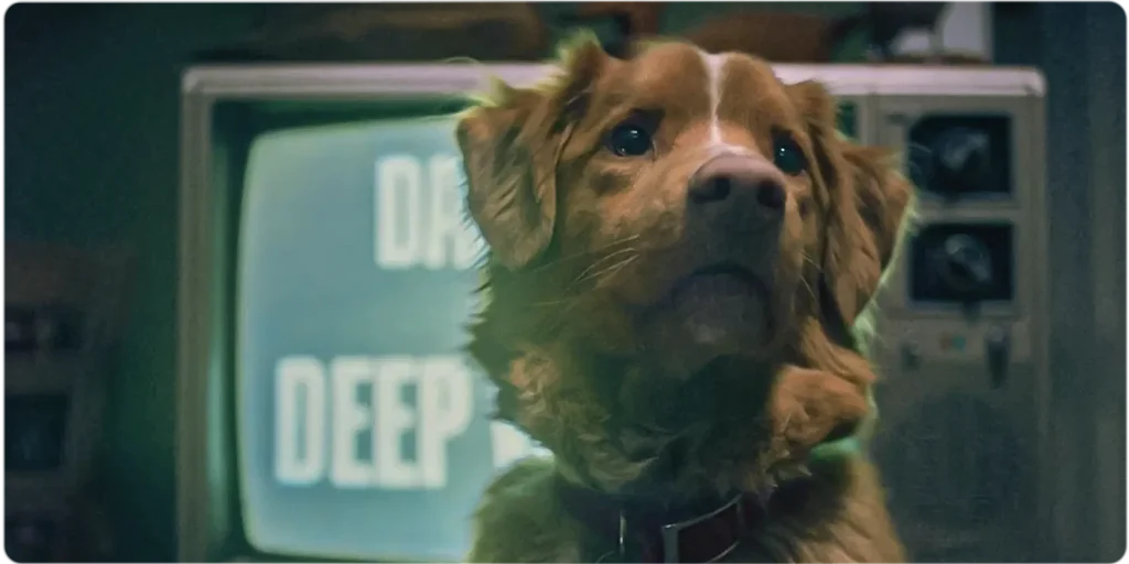 good boy 2025 horror movie