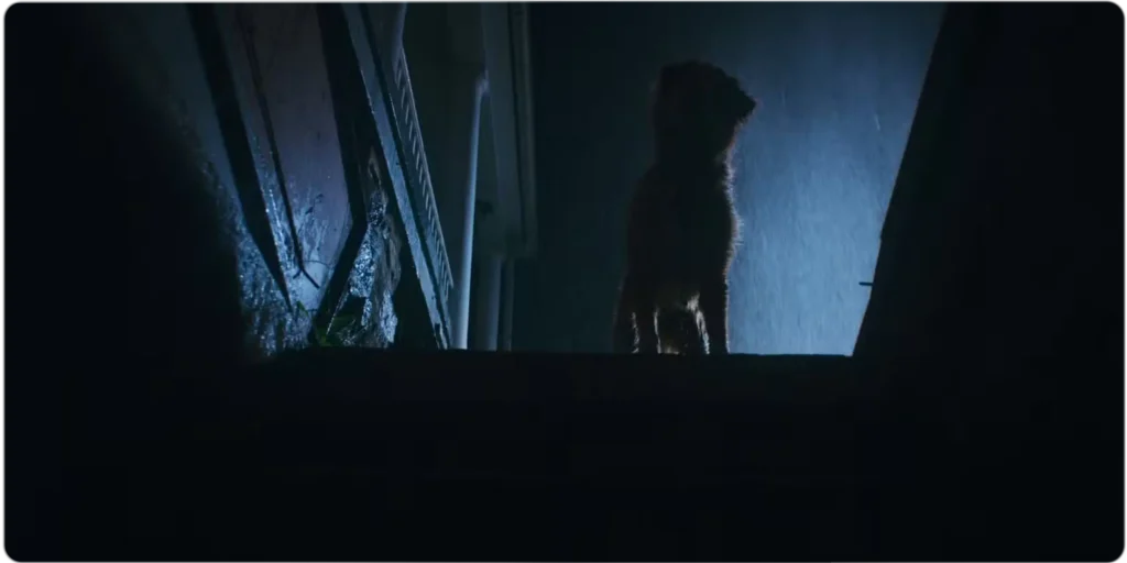 good boy 2025 horror movie